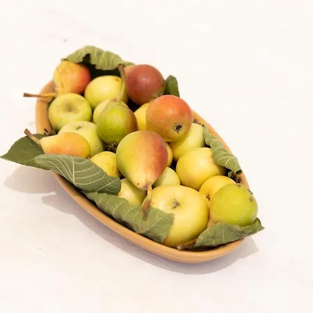 Tenuta Fonto Gallipoli