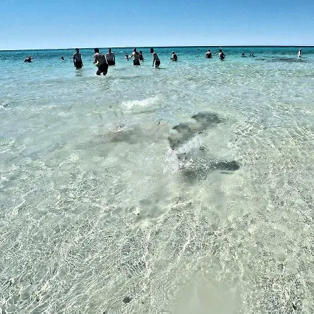 Tenuta Fonto 3* Gallipoli