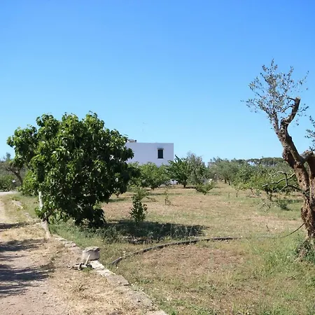 Apartmanhotel Tenuta Fonto 3*