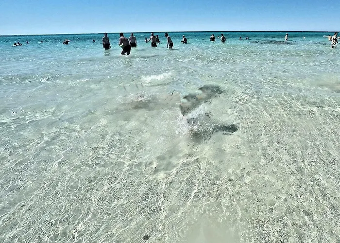 Tenuta Fonto 3* Gallipoli