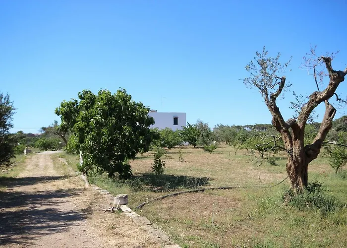 Aparthotel Tenuta Fonto 3*